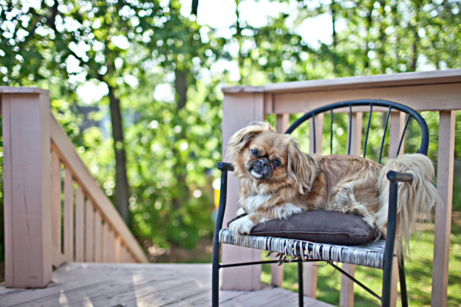 Chico5