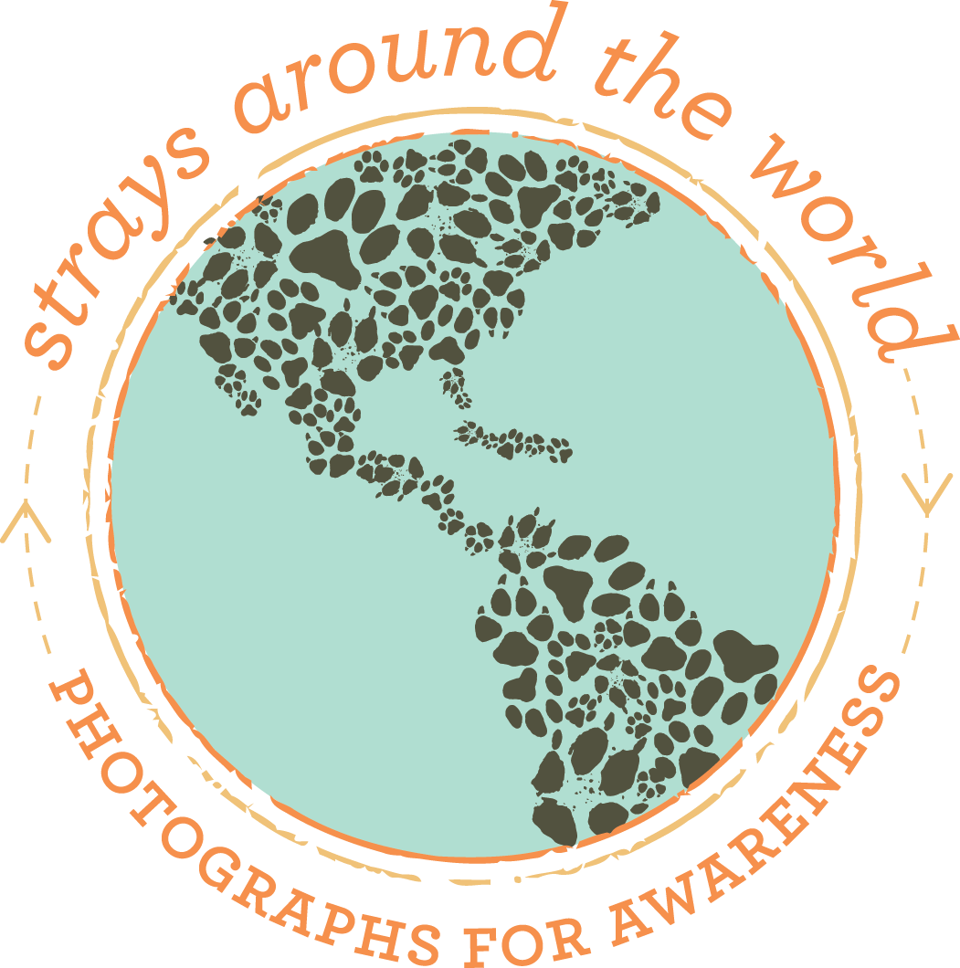 strays_final_logo_OL