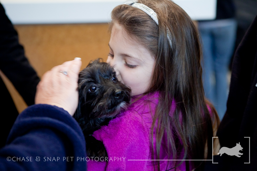 The Green Leaf Pet Resort & Hotel | New Jersey Pet Photographer