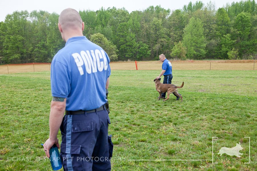 The Green Leaf Pet Resort & Hotel | New Jersey Pet Photographer