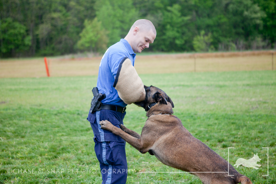 The Green Leaf Pet Resort & Hotel | New Jersey Pet Photographer