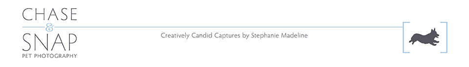 Chase & Snap Pet Photography logo