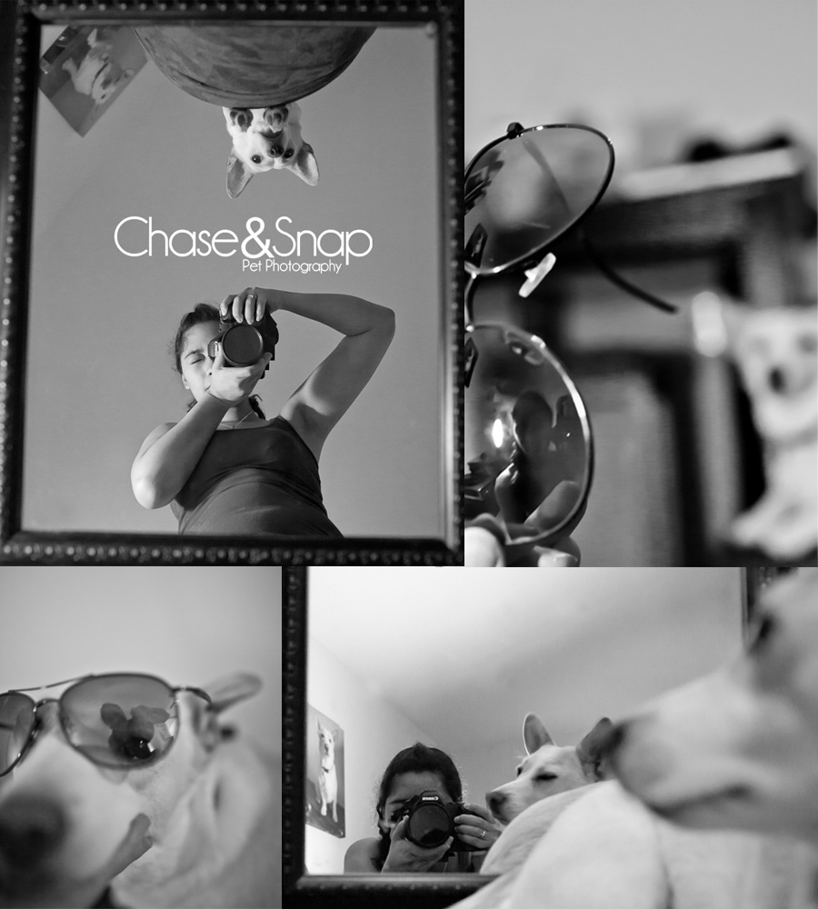 Self Portrait, Project 52, Seren, Stephanie Madeline | New Jersey Pet Photographer