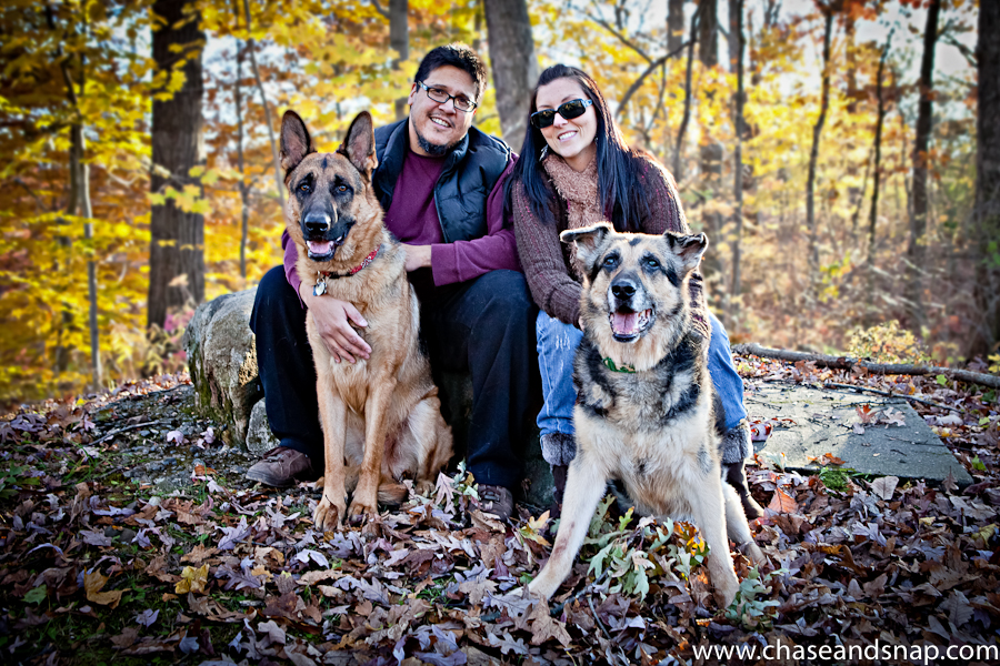 German Shepards | New Jersey Pet Photography| Project 52