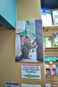 Cherrybrook Premium Pet Supply Store | Garwood, NJ | NJ Pet Photographer