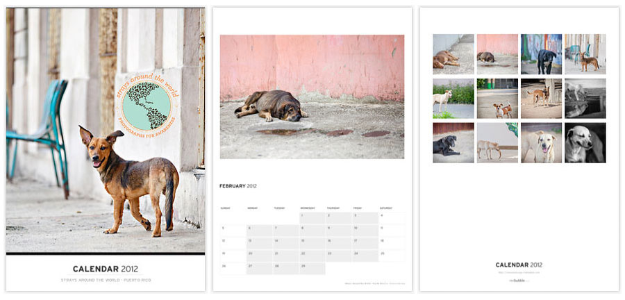 2012 Strays Around the World Calendar - Puerto Rico 