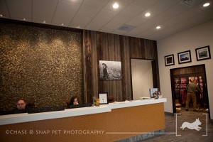 The Green Leaf Pet Resort & Hotel | New Jersey Pet Photographer