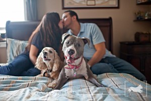 Family | New Jersey Pet Photographer