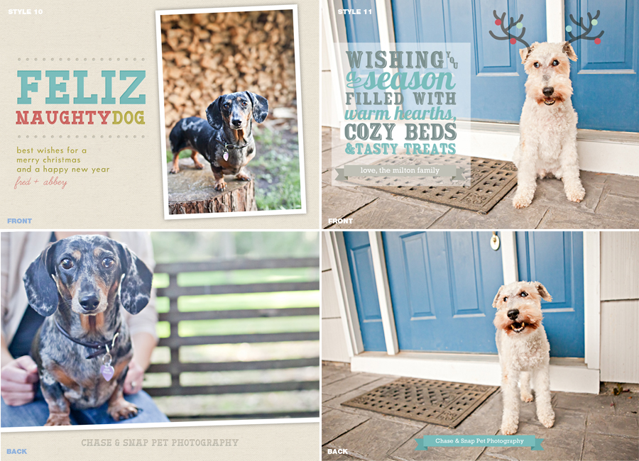 Holiday Cards | New Jersey Pet Photographer