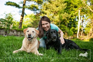 Labrador retrievers | New Jersey Pet Photographer